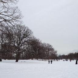 Prospect Park Profile