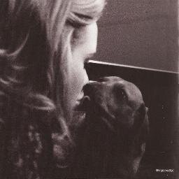 Iotiamocolcuore's profile picture. Mi annoio di scrivere una biografia.. lol.. ceh @OfficialAdele ti amo ceh... Poco o niente..