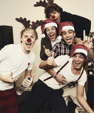 en 3 mots: fan des 1D