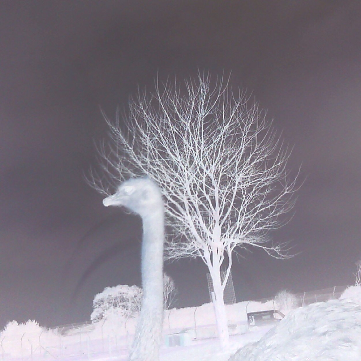 Alison481Alison's profile picture. 