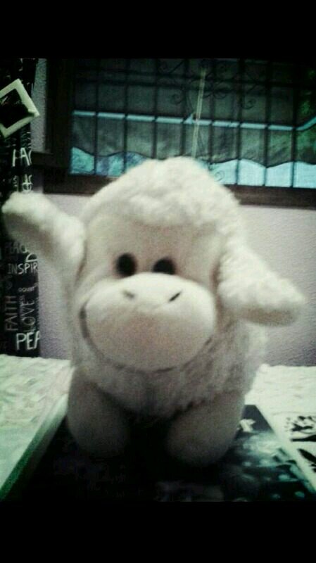 bIbOh eN El CampOh, bEjEtAriAnoH d toDah lAh LifEh... LARGA VIDA A LAS OVEJAS