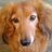 usudon73's profile image