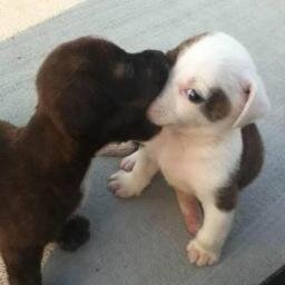 StephanieSweeps's profile picture. 