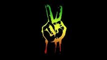 Follow me back|sigueme de vuelta