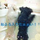 はるめる (@0530Qwan) Twitter