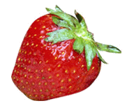 vanillablog's profile picture. sssshhhhh she's twittering