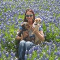Debbie Guelzow (@arthornelem) 's Twitter Profile