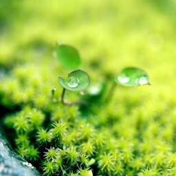NaTuRe '97