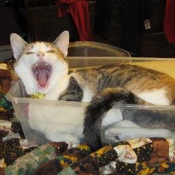 Baking, cats, musicology, general geekiness.