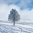 Lori Lacy - @LoriLacy1223 - Twitter