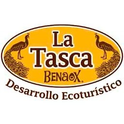 Ofrecemos servicio de restaurante, área de albercas, juegos para niños, mini zoológico, paseos a caballo, ruta extrema  entre otros servicios.