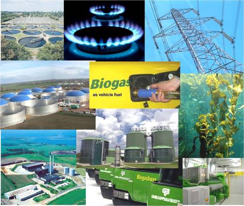 BioGasEurope's profile picture. 