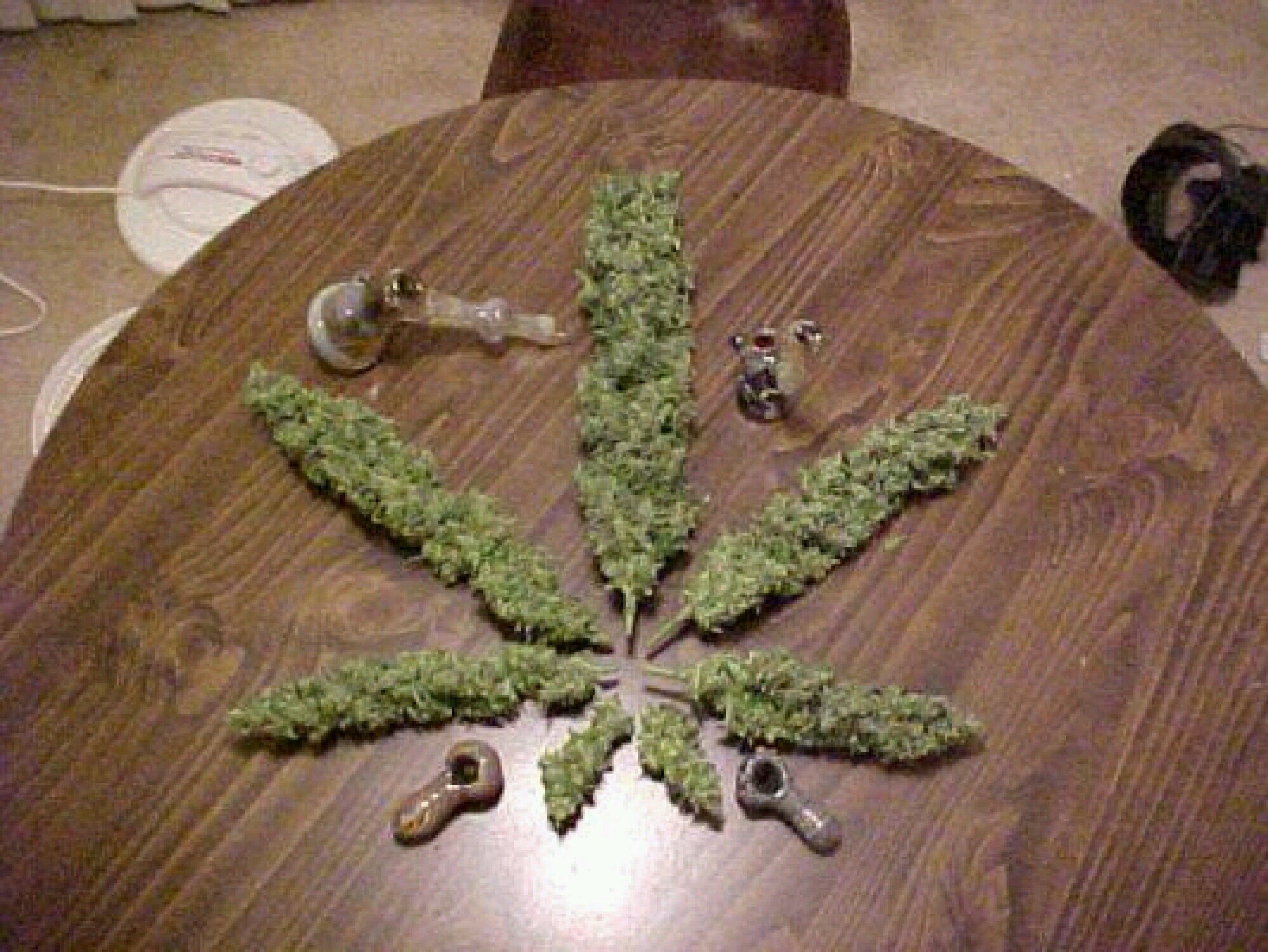 just a kid living life to the fullest . I Smoke . I'm always high . Dank on Dank . Send me pictures MindsOfStoners@gmail.com .Follow me .