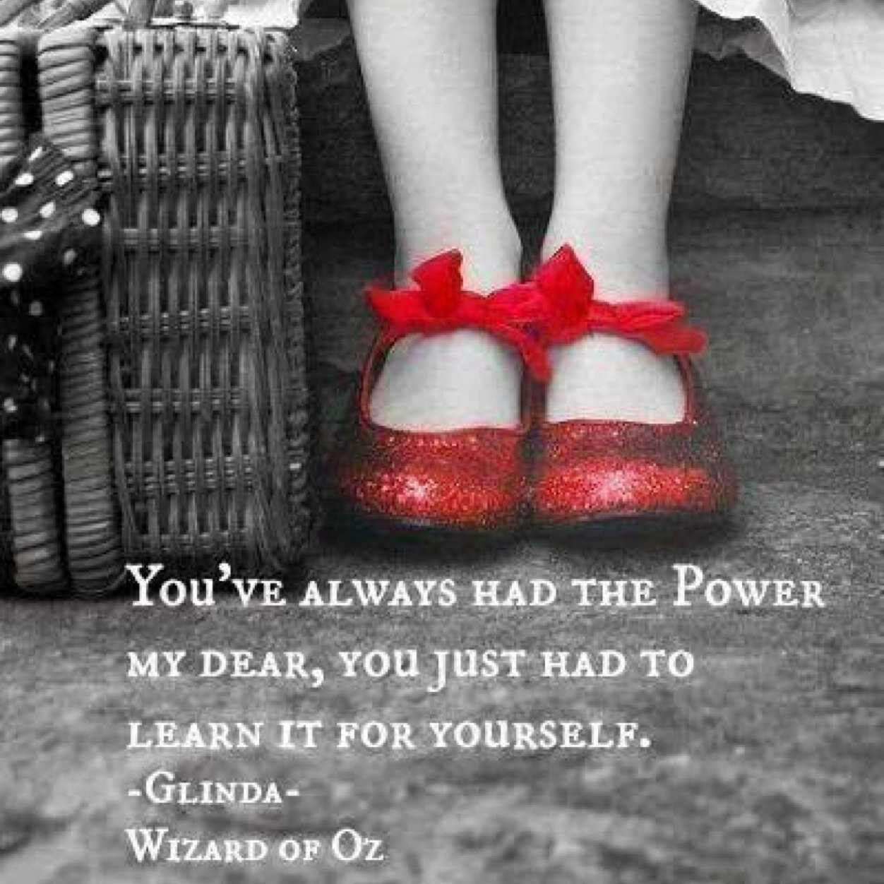 StacieScarberry's profile picture. 