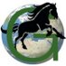 Geo-Equestrian (@geoequestrian) Twitter profile photo