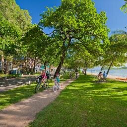 Official account for Tourism Palm Cove