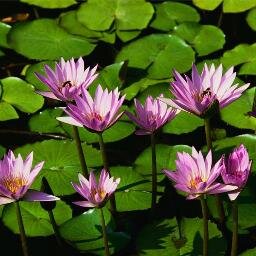 takip ettiğim herkesin fikirlerini paylaşıyorum demek değildir. farklılıklarımız zenginliğimizdir🌸