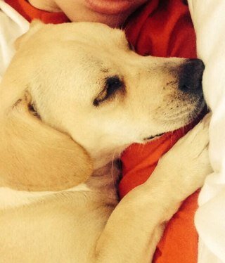 Feito_P's profile picture. Your best friend when nobody want you! Your company when you're aloone! Your smile when you cry! Your lover to hug!