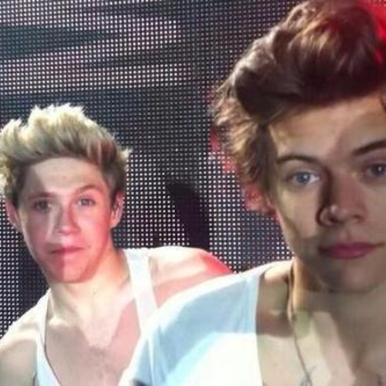 You got a Free follow please follow @CudlyNouis she follows back just ask