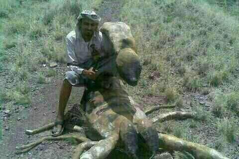 majd9ggg9889988's profile picture. طالب جامعه