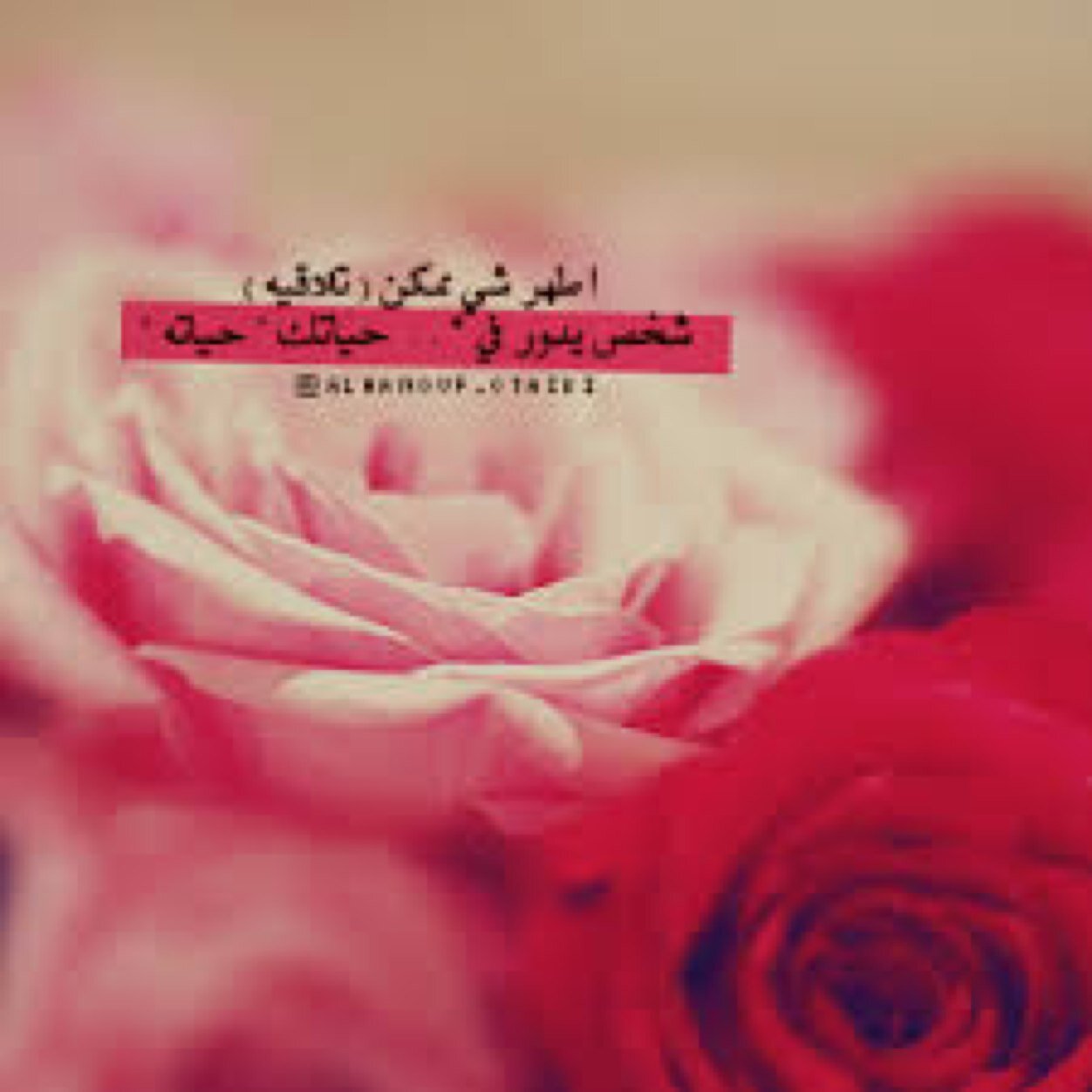 اؤمن بمقولة (ماتؤمن به تحصل عليه ) وسأحصل على مااتمنى بأذن الله ،،