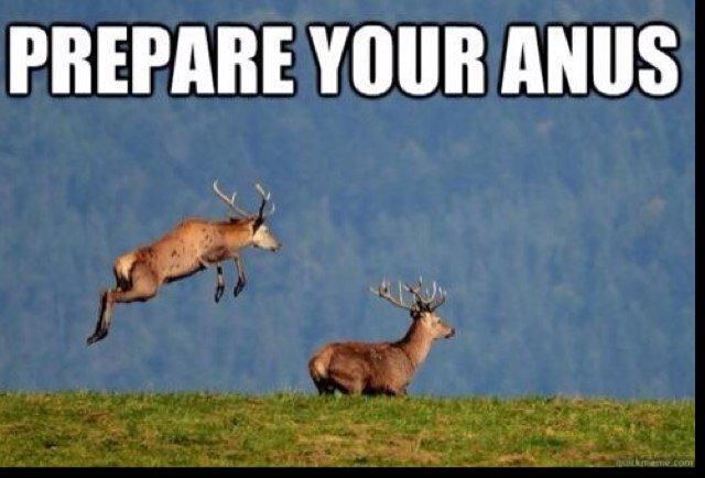 MCPE_DUDE1's profile picture. 