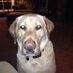 Kyle Kurdle (@kkurdle) Twitter profile photo