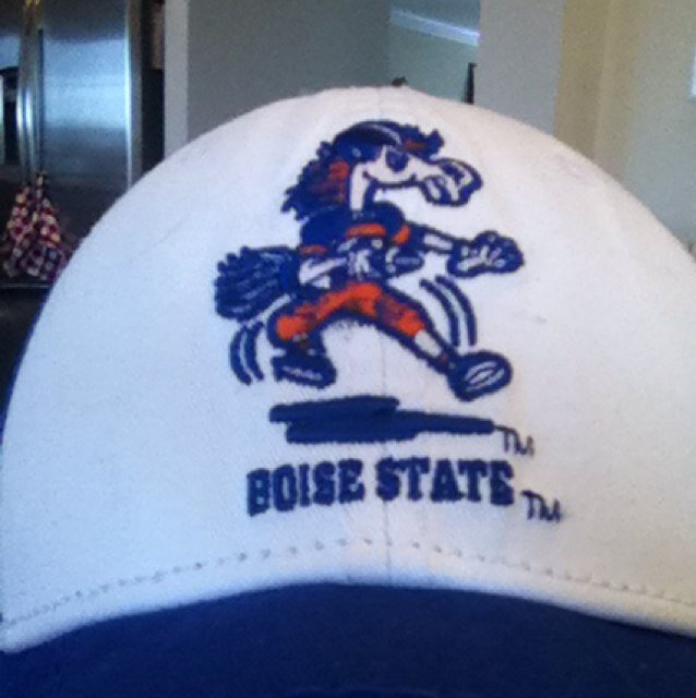 Husband, father, and walking Boise State billboard.