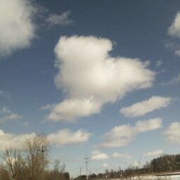 JudeHearts's profile picture. Hearts appear to me in usual & unusual places. Not a trained professional; just a nature lover who loves the little things in life! Please visit my website.