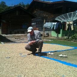 Have been working directly with farmers in Aceh for 13 years, at present supporting small farmer groups in remote locations, in search for the perfect cup