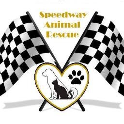 Im the founder of Speedway Animal Rescue.I rescue, foster, adopt out all animals fixed and completely vetted.I am 100% here for the animals and their survival.