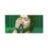 _____Xxlll__'s profile image