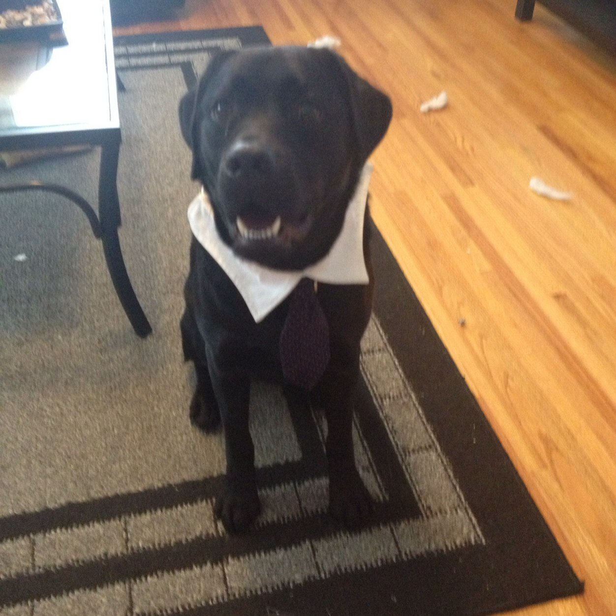 jjwwerner's profile picture. 