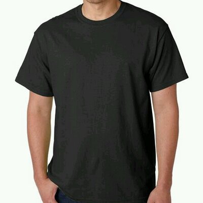 alstyle 1301