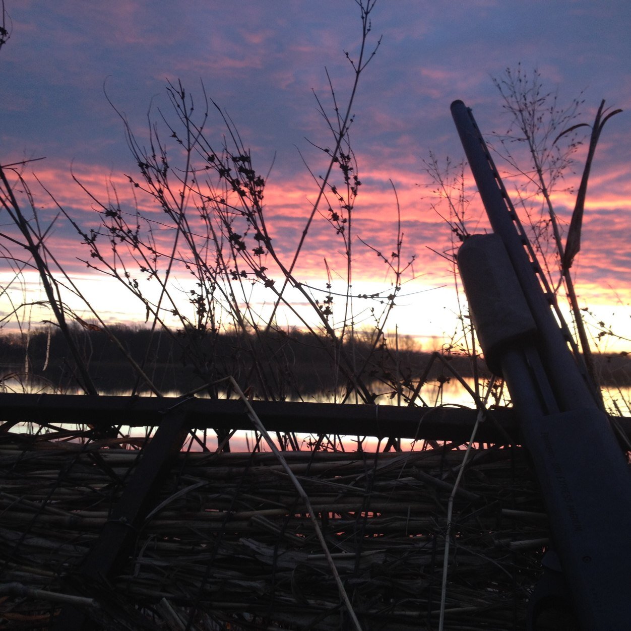 jpkavin's profile picture. 