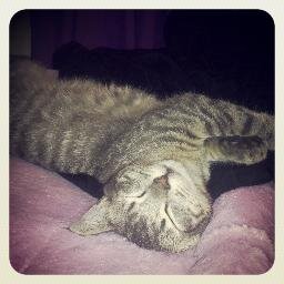 Kawaii_Neko13's profile picture. 