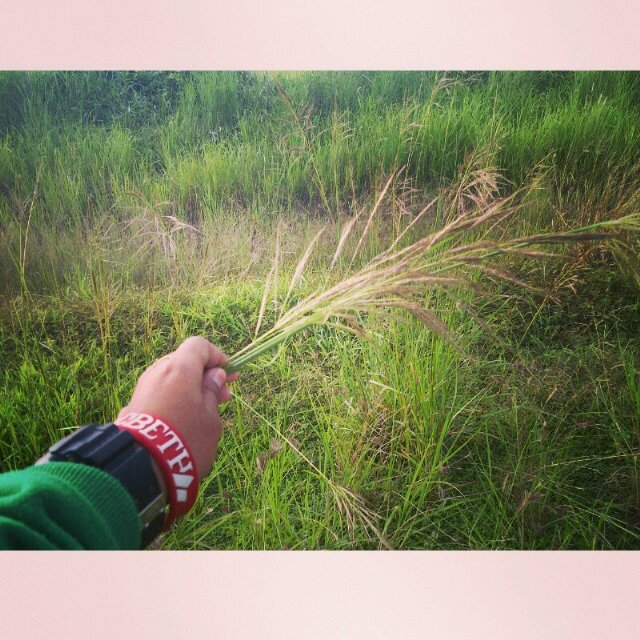 FSnotes's profile picture. Allahumma inni dholamtu nafsi dhulman katsiro.