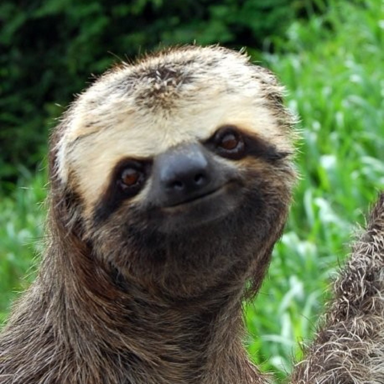 anonloving's profile picture. smile ; someone loves you
https://t.co/aR95D6wvUv