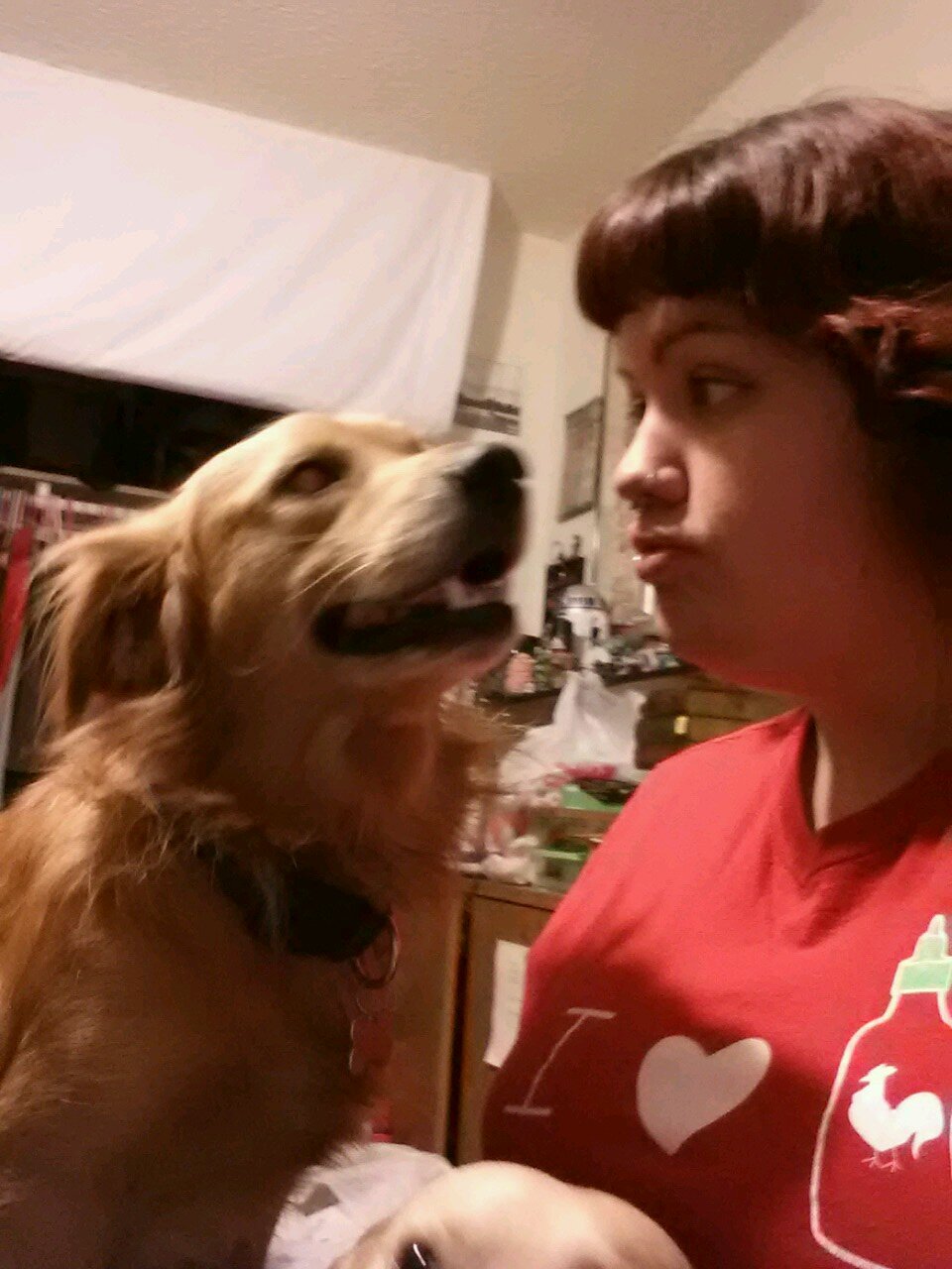 A young lady who loves local shows, art, nerdy things and my dogs.