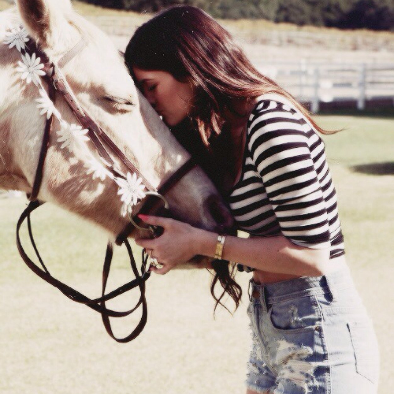 PrincesssFaux's profile picture. Dont bullshit me and we could be friends.