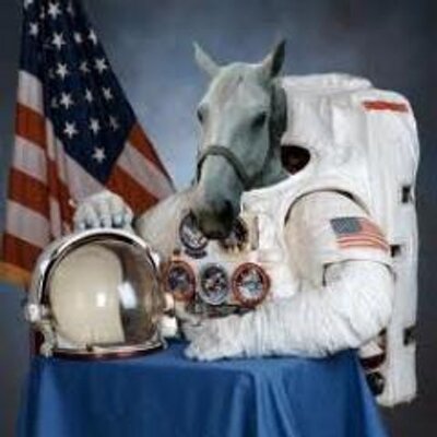 Space horse on sale