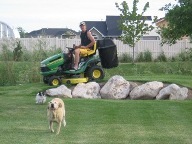 strokej's profile picture. 