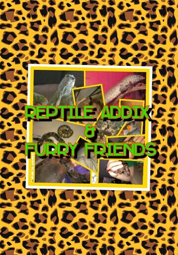 Reptile Addix & Furry Friends follow us on Facebook and Twitter! We are based in Harwood Ontario but are ready to expand!