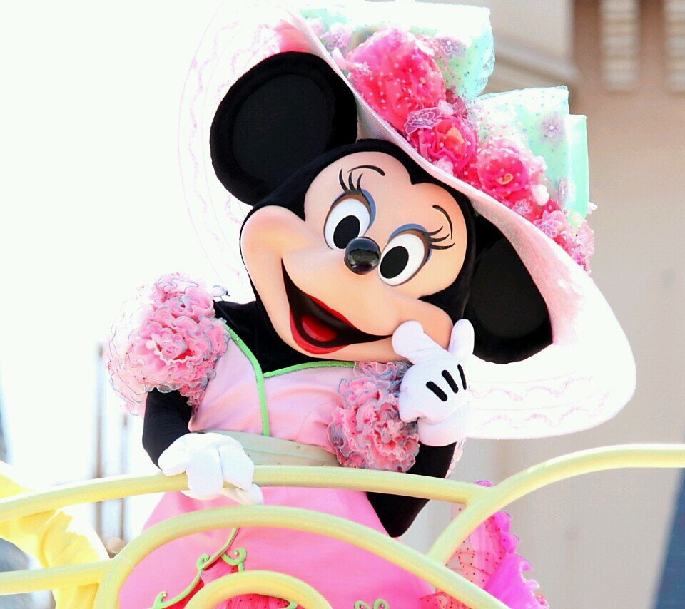 見る専門アカウント🧸 素敵な美容アカウント💄・育児アカウント👧🏻👶🏻・Disneyアカウント🐭をフォローさせて頂きます❤️