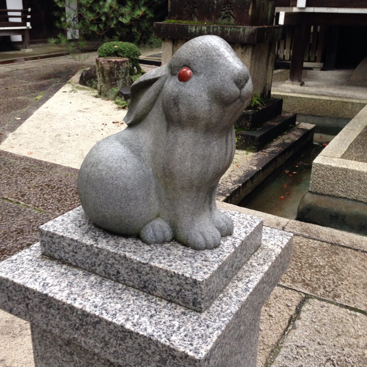 OmameErichamame's profile picture. ミニウサギさんと、旦那さまと暮らしております^_^
よろしくお願いします^ ^