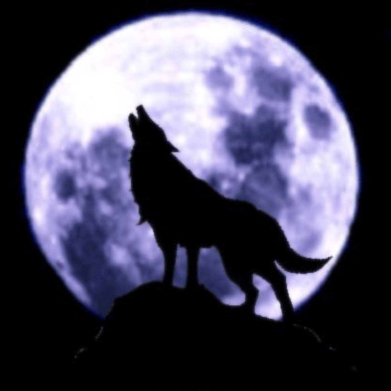 M M Silver Wolfman Twitter