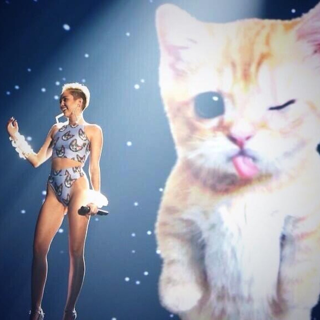 Iloveyouarriana's profile picture. Ariana Grande is my idol