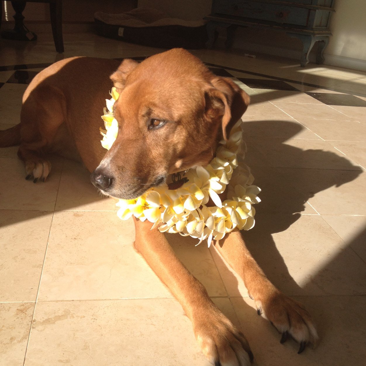 jmmckie's profile picture. 