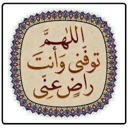 شركة بوسنية ذات مسؤولية محدودة