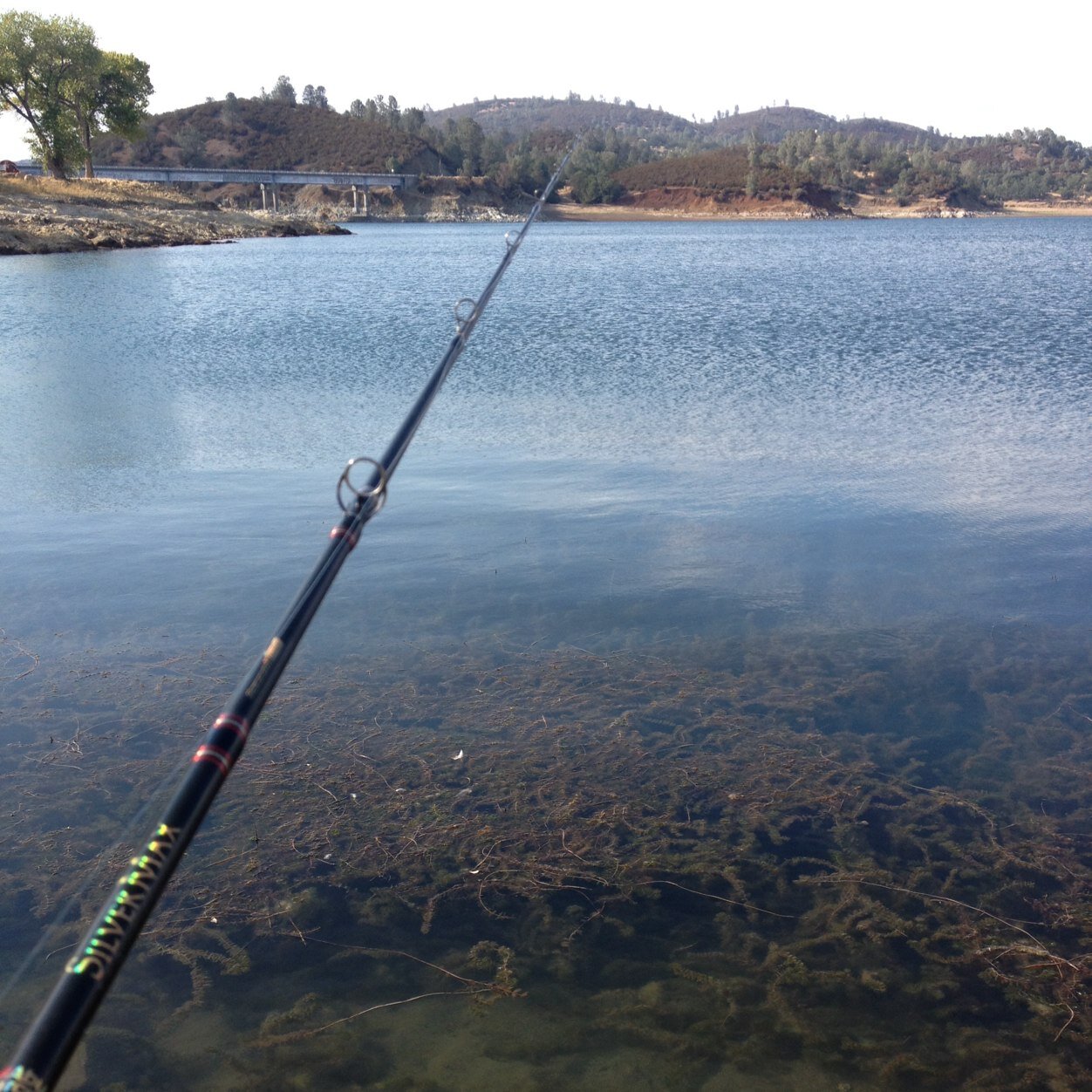 bashinbass_bros's profile picture. Follow my journey through